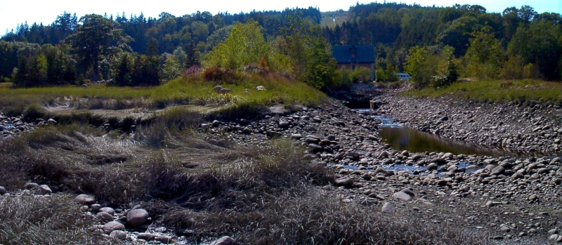 Allain Creek at the  'Y' 