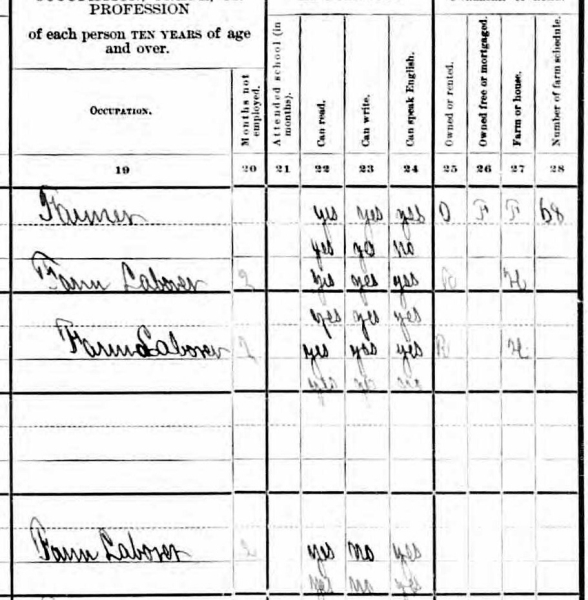 1900 census, Breaux Bridge, b