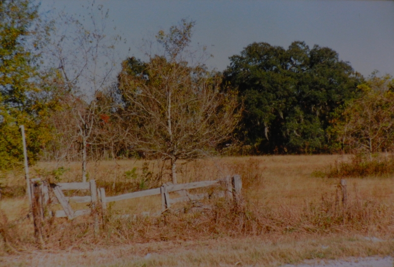 old cypress gate, 1800s sugar cane farm on Bayou Teche