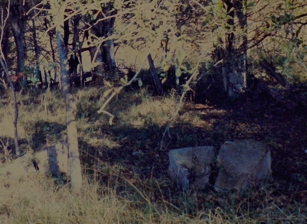remains of an ancestral Cajun house on Bayou Teche