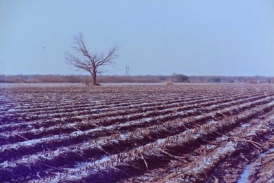 snow after the harvest (thank goodness), winter '89