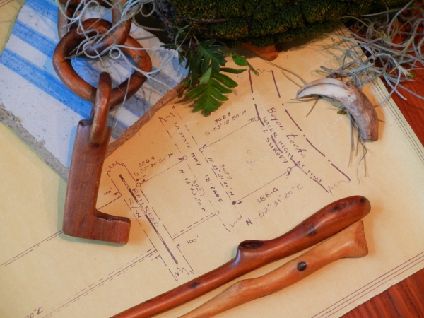 survey map, cedar & oak chopsticks, pecan chain, crockery shard, and a nutria claw