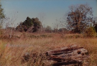Railroad ties, looking back toward the bayou at the cedars that hd been in front of the house