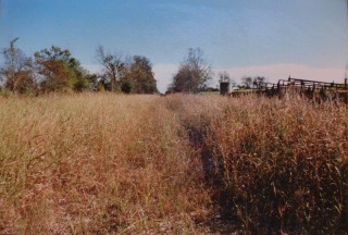 ghost tracks